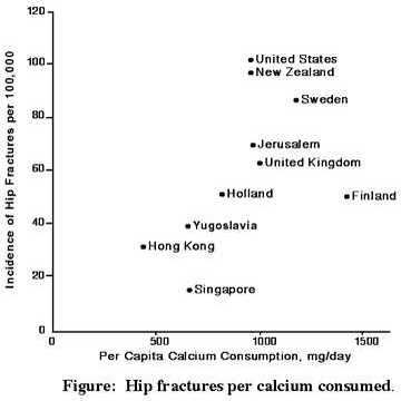 milk and osteoporosis