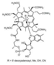 Vitamin B12 Structure