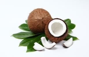 coconut